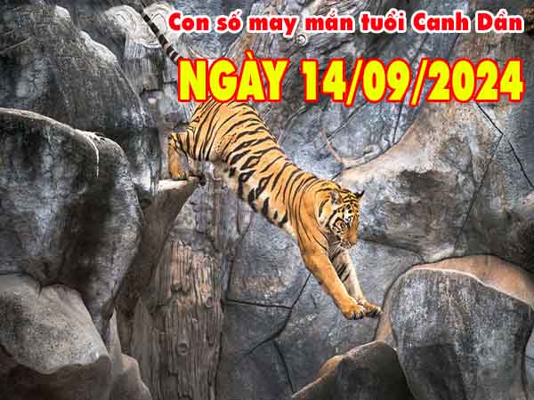 Phân tích con số may mắn tuổi Canh Dần ngày 14/9/2024 thứ 7 hôm nay